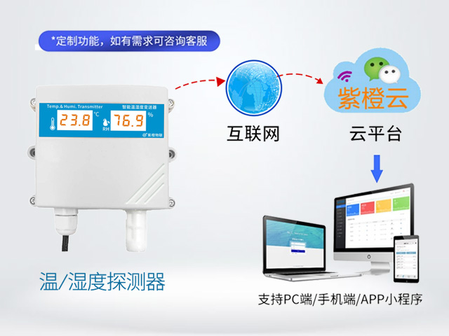 4G温湿度探测器
