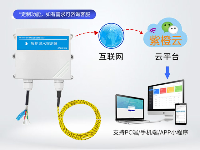 4G水浸探测器