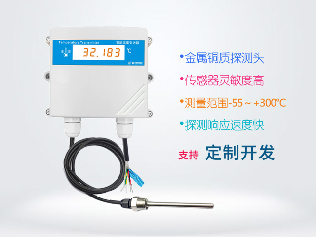 温度测量探测器