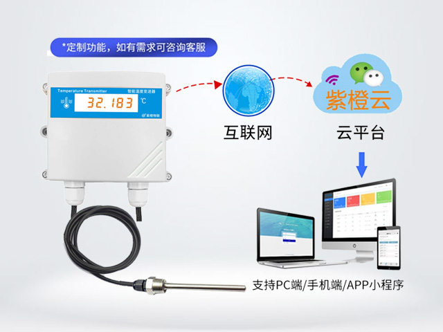 温度测量探测器